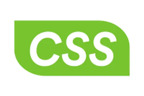 cssbuy