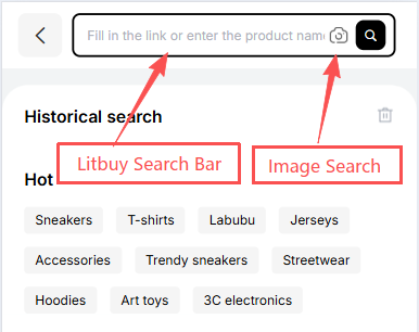 Litbuy search page showing the input bar to paste product links or enter product names, with a camera icon on the right for image search — buyers worldwide can use visual search to identify and order Chinese streetwear, sneakers, Labubu collectibles, and trending items from Taobao or Weidian